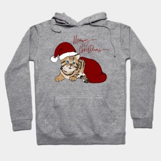 Cute Christmas Kitten in Santa Hat Hoodie